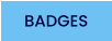 BADGES