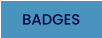 BADGES